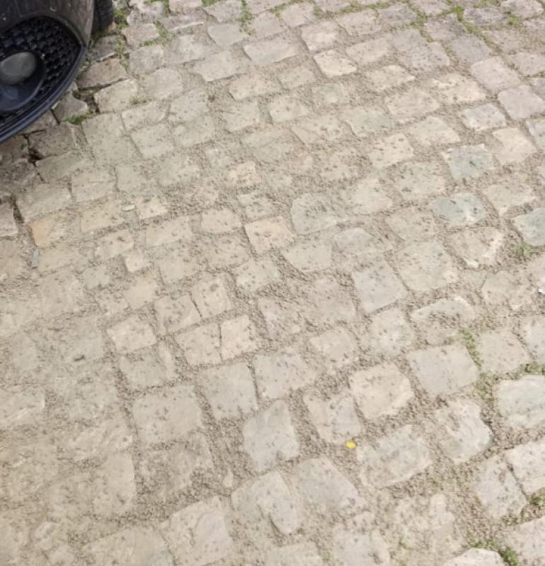 Manutenção das calçadas nos passeios pedonais das ruas da freguesia