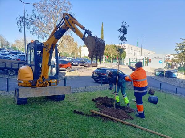 Cacém e São Marcos mais Verde - Plantação de Árvores 