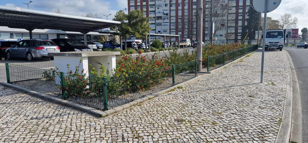  Requalificação dos canteiros na Rua Quinta de São João no Cacém