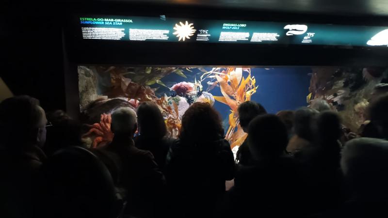 Visita ao Oceanário de Lisboa