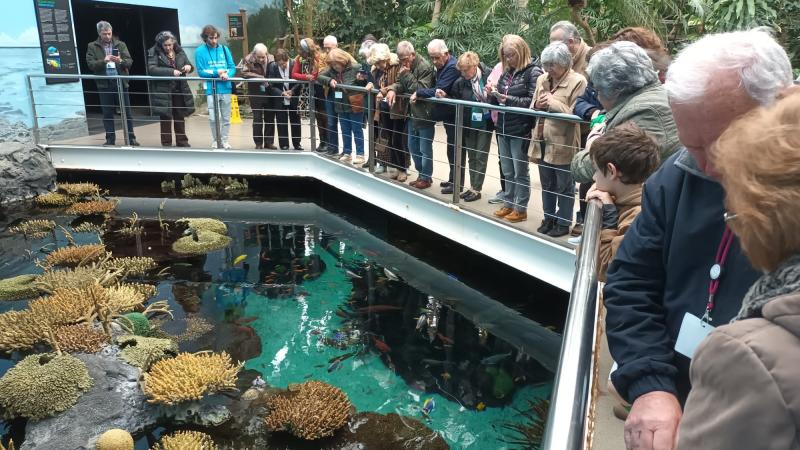 Visita ao Oceanário de Lisboa