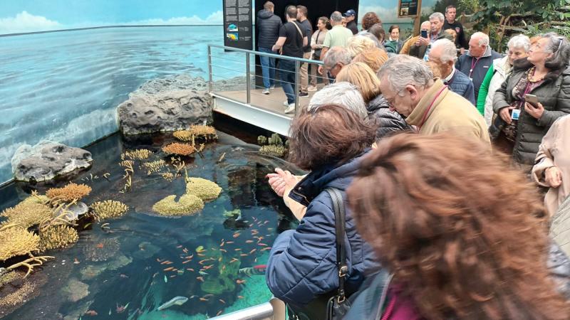 Visita ao Oceanário de Lisboa