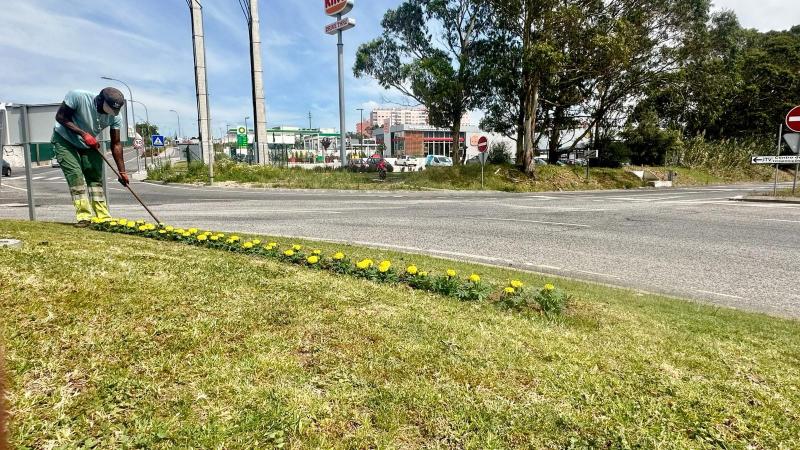 Espaço Público - Plantação de Plantas na freguesia