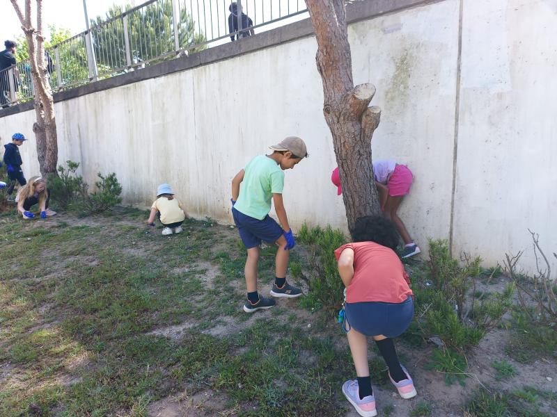 Ação de Limpeza na Ribeira das Jardas