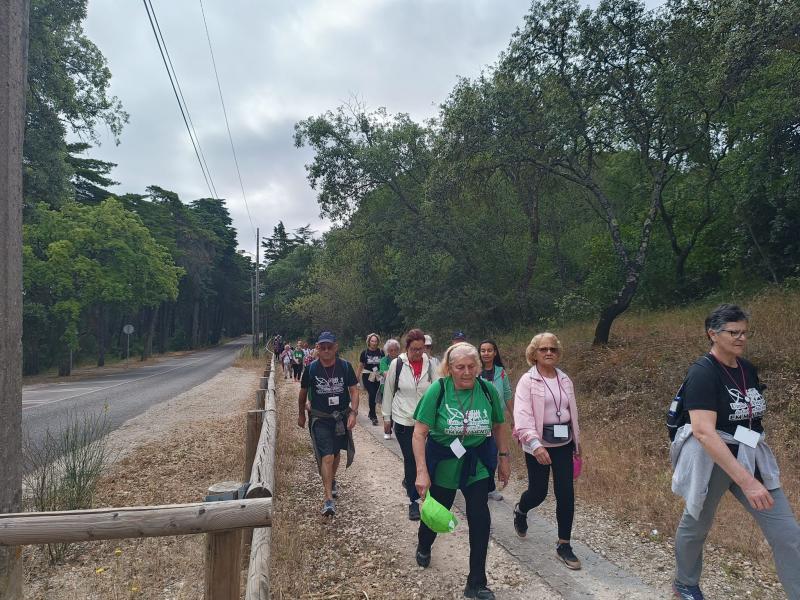 Desporto e Saúde - Caminhada pelos trilhos do aqueduto do Monsanto