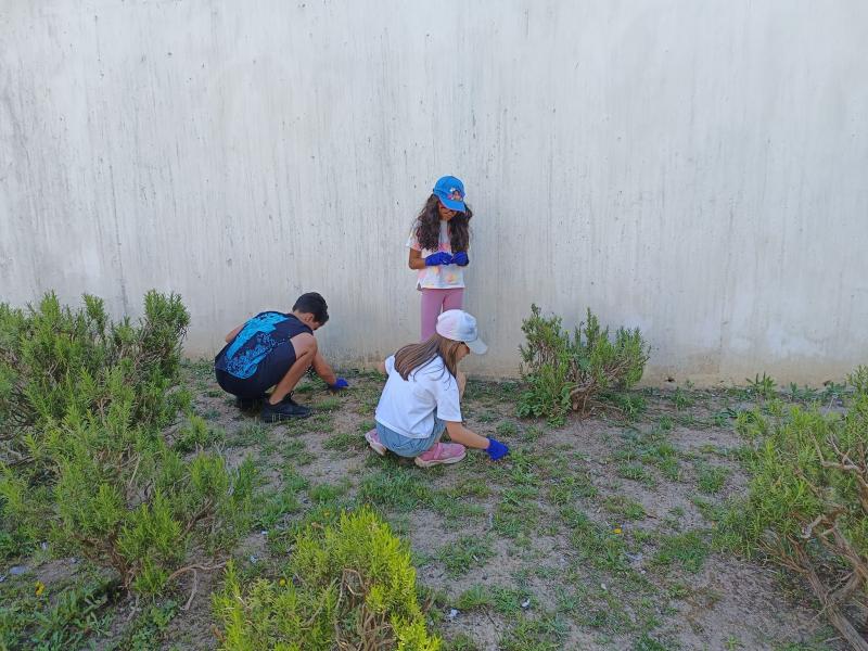 Ação de Limpeza na Ribeira das Jardas