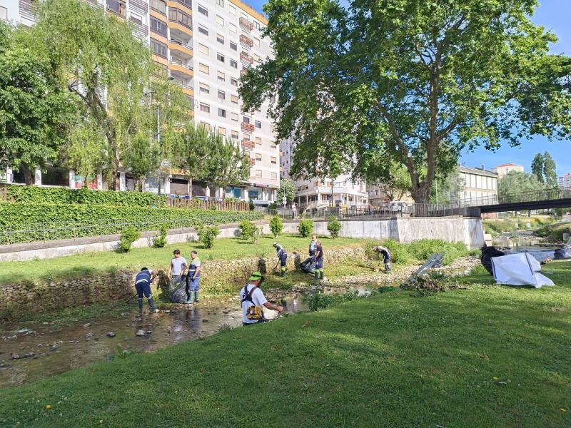 Ação de Limpeza na Ribeira das Jardas