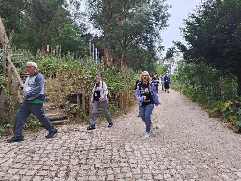 Desporto e Saúde - Caminhada pelos trilhos do aqueduto do Monsanto