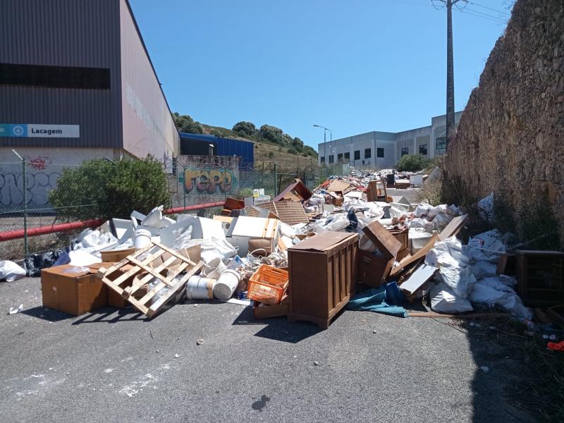 Operação de recolha de resíduos na Estrada das Ligeiras