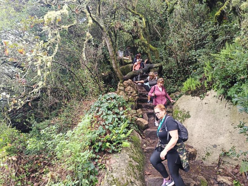  Caminhada " À Descoberta de Sintra"