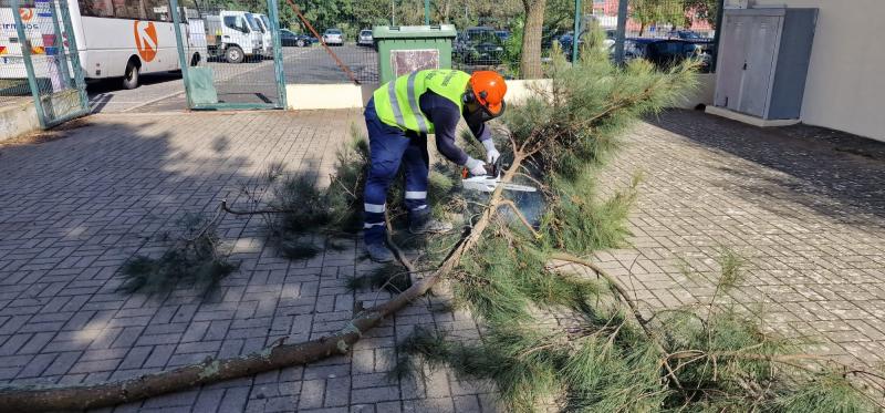 Ação de formação na área de manobradores de máquinas de corte.