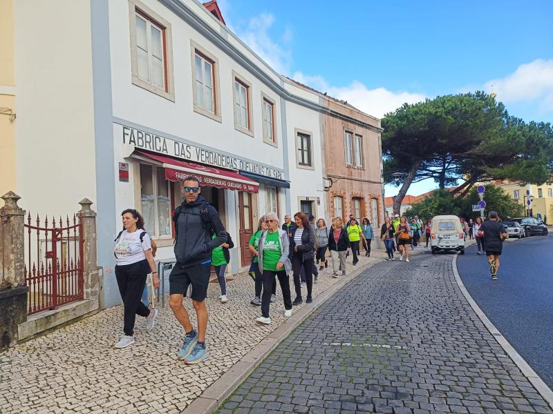  Caminhada " À Descoberta de Sintra"