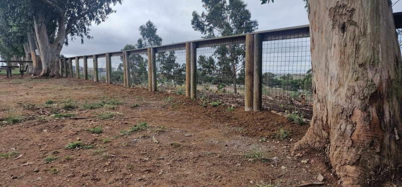 Reparação e manutenção do Parque Canino na Avenida do Brasil