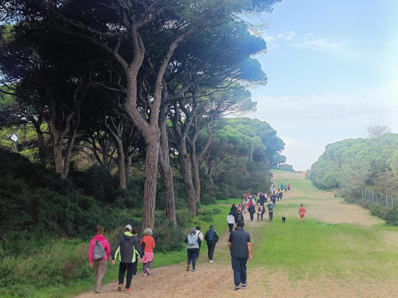 Desporto e Saúde - Caminhada Passadiços da Mata dos Medos