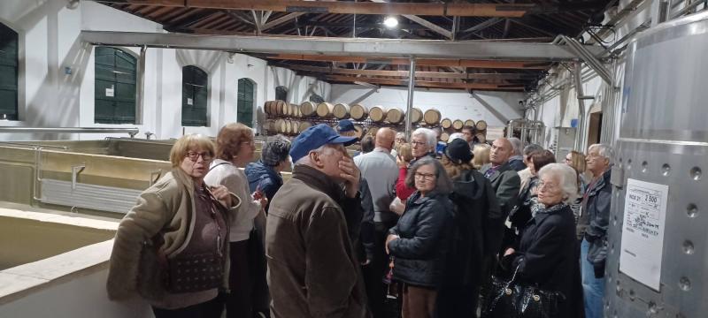 Passeio ao Município de Almeirim "Rota dos Saberes"