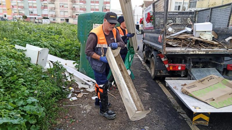 Higiene Urbana | Recolha de Monos e verdes