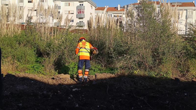 Formação - Manobrador de Máquinas de Corte