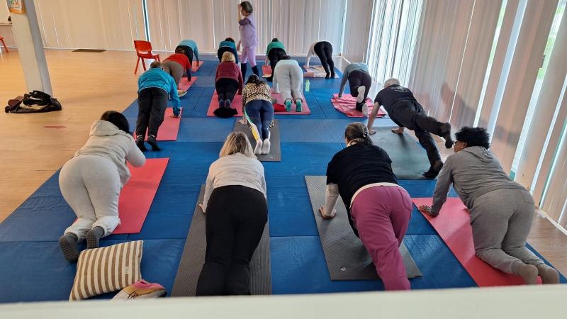 Aulas de ginástica e de yoga - Programa Desporto Sénior "Mais Ativo" 