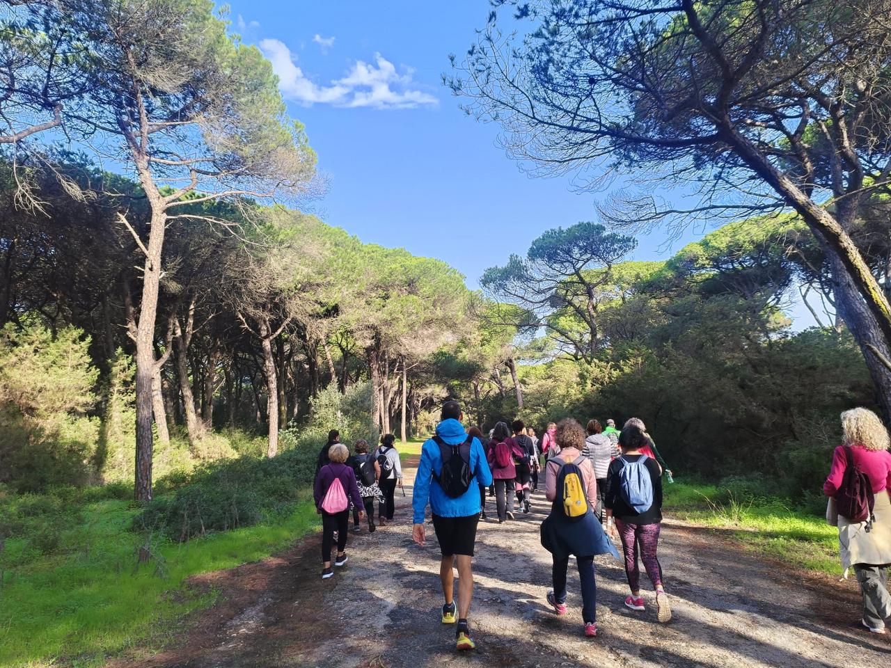 Programa de "Caminhadas 2025" - Centro Municipal de Marcha e Corrida do Cacém e São Marcos