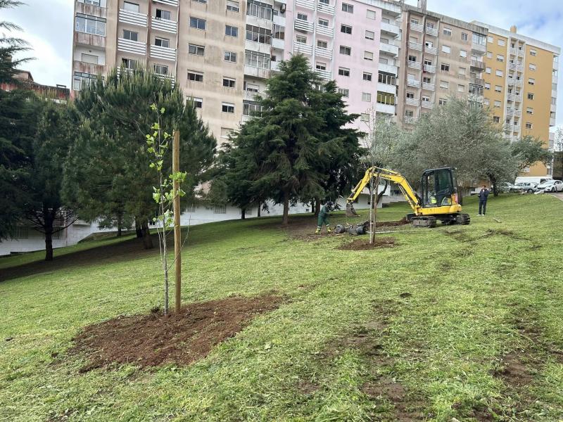 Ambiente e Espaços Verdes - Plantação de Árvores Ambiente e Espaços Verdes - Plantação de Árvores
