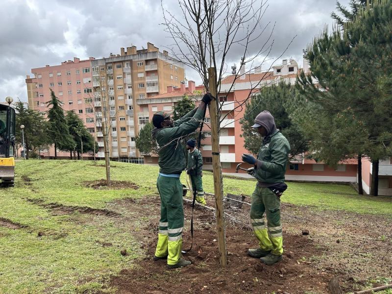 Ambiente e Espaços Verdes - Plantação de Árvores Ambiente e Espaços Verdes - Plantação de Árvores