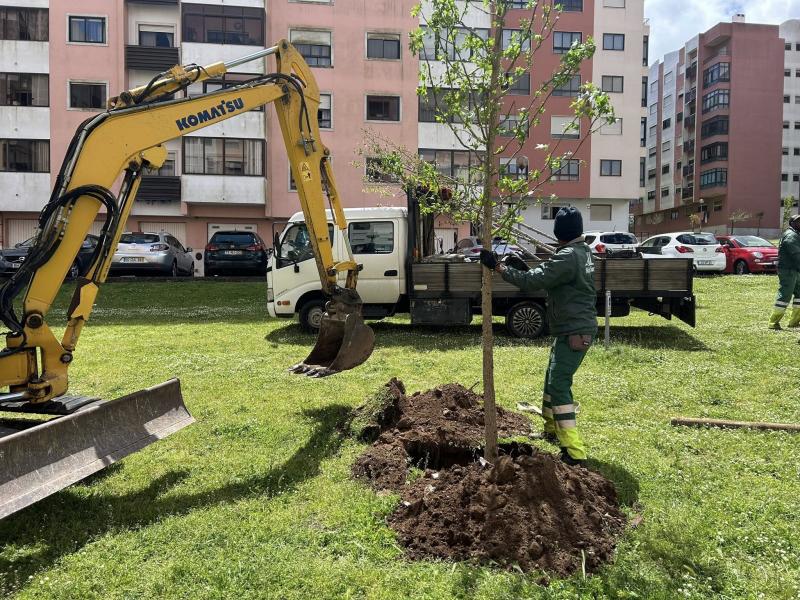 Ambiente e Espaços Verdes - Plantação de Árvores Ambiente e Espaços Verdes - Plantação de Árvores