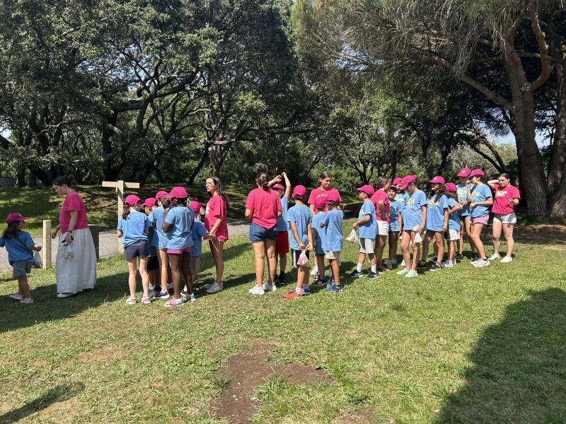 1º turno da Colónia de Férias "Animar Cacém e São Marcos" 1º turno da Colónia de Férias "Animar Cacém e São Marcos"