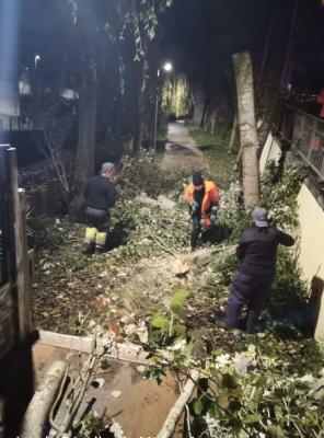Intervenção no Parque Urbano D. Domingos Jardo - Cacém Intervenção no Parque Urbano D. Domingos Jardo - Cacém