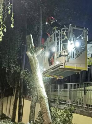 Intervenção no Parque Urbano D. Domingos Jardo - Cacém Intervenção no Parque Urbano D. Domingos Jardo - Cacém