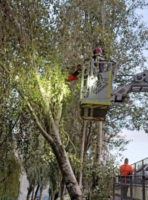 Intervenção no Parque Urbano D. Domingos Jardo - Cacém Intervenção no Parque Urbano D. Domingos Jardo - Cacém