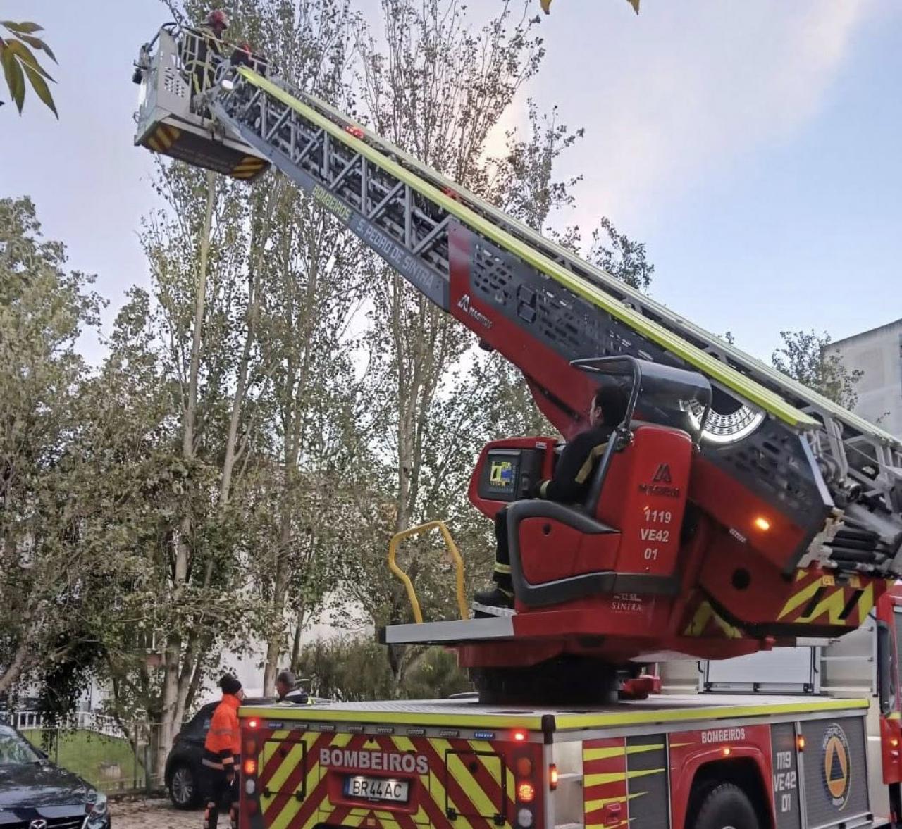 Intervenção no Parque Urbano D. Domingos Jardo - Cacém Intervenção no Parque Urbano D. Domingos Jardo - Cacém