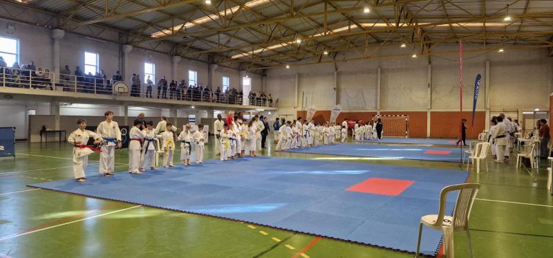 ABGK- Associação Budo Gendai de Karate - Portugal