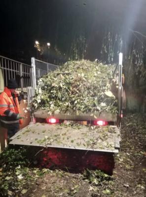 Intervenção no Parque Urbano D. Domingos Jardo - Cacém Intervenção no Parque Urbano D. Domingos Jardo - Cacém