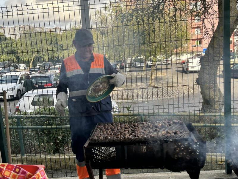 Magusto do Cacém e São Marcos 