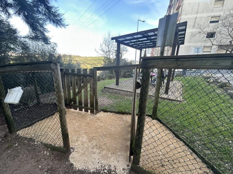 Pelouro do Bem-Estar Animal - Parque Canino do Casal do Cotão