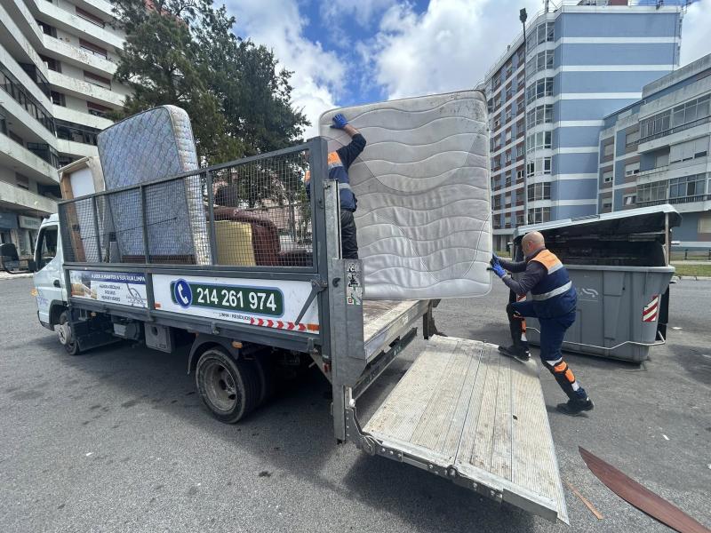 Recolha de monos e resíduos verdes 