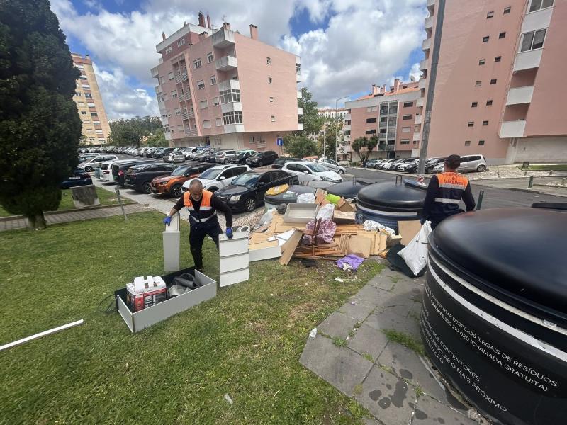 Recolha de monos e resíduos verdes 