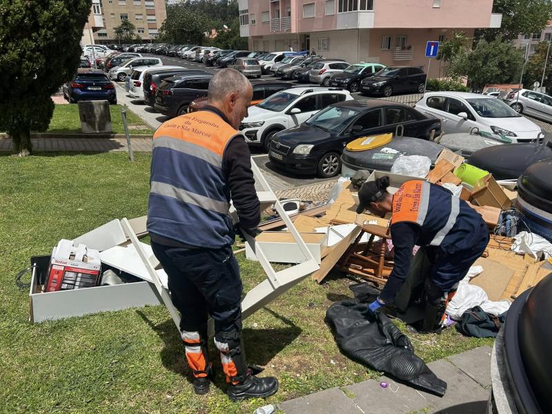 Recolha de monos e resíduos verdes 