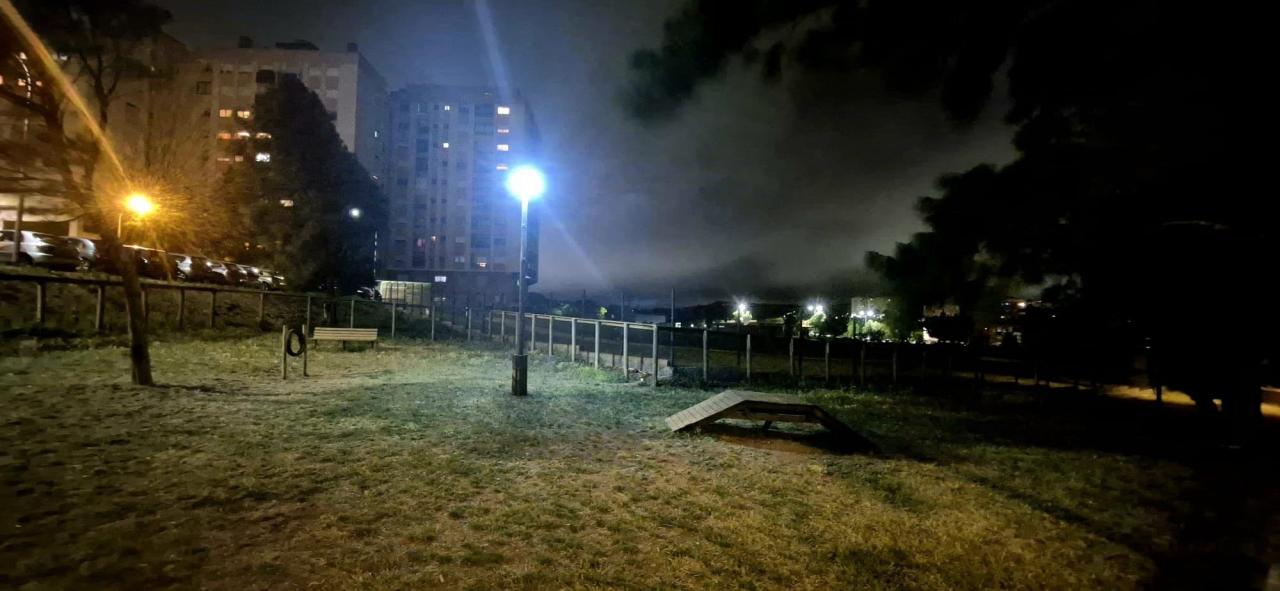 Parque Canino - Alameda de São Marcos 