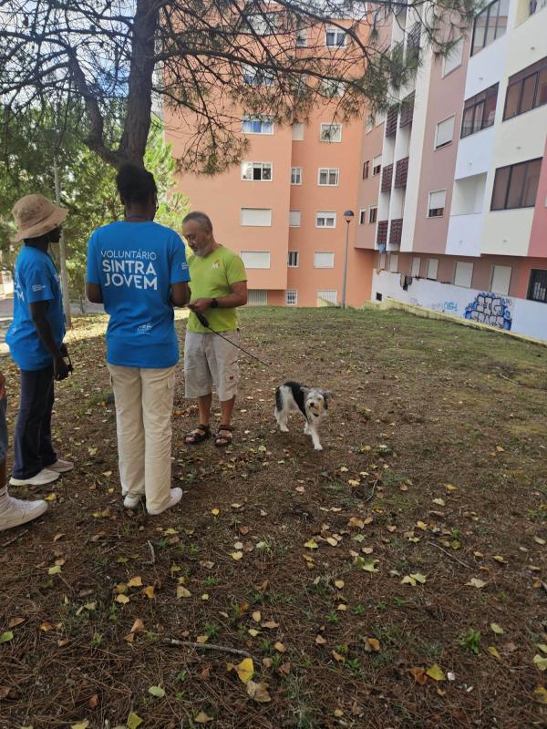 Voluntariado Sintra Jovem – Cacém e São Marcos Voluntariado Sintra Jovem – Cacém e São Marcos