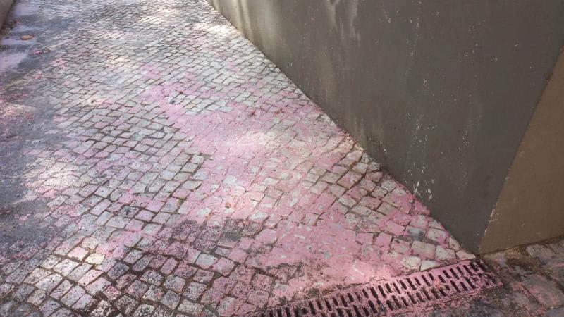 Limpeza e recuperação da EJR – Praceta D. Fernando II