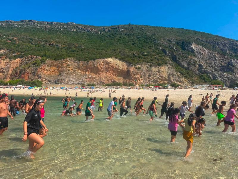 2.º Turno | Colónia de Férias “Animar Cacém e São Marcos” 2.º Turno | Colónia de Férias “Animar Cacém e São Marcos”