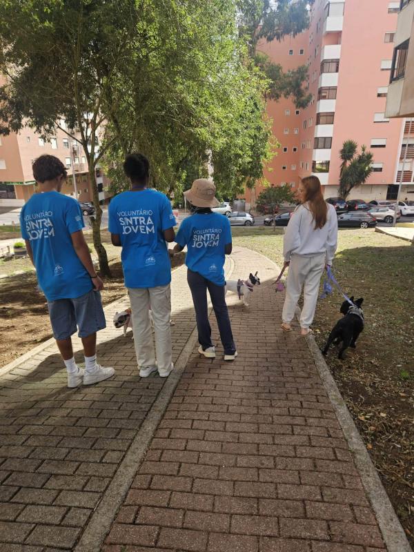 Voluntariado Sintra Jovem – Cacém e São Marcos Voluntariado Sintra Jovem – Cacém e São Marcos